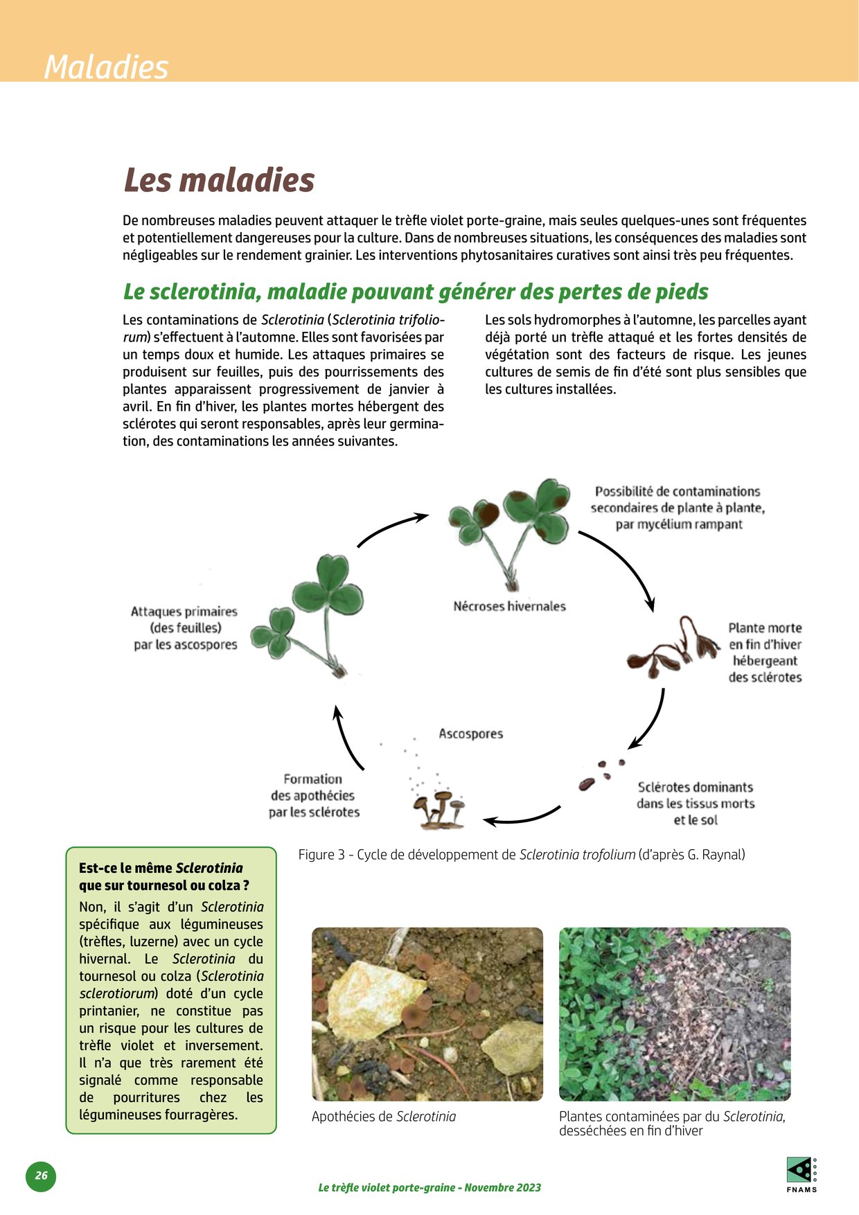 PDF page 26