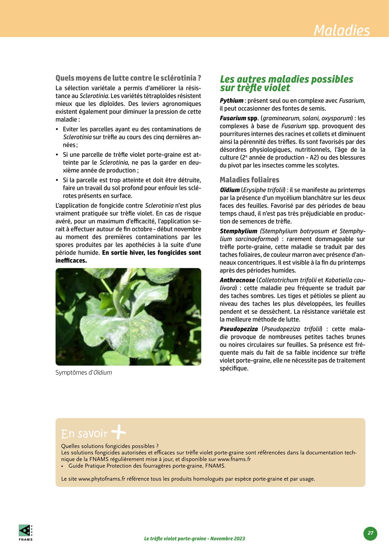PDF page 27