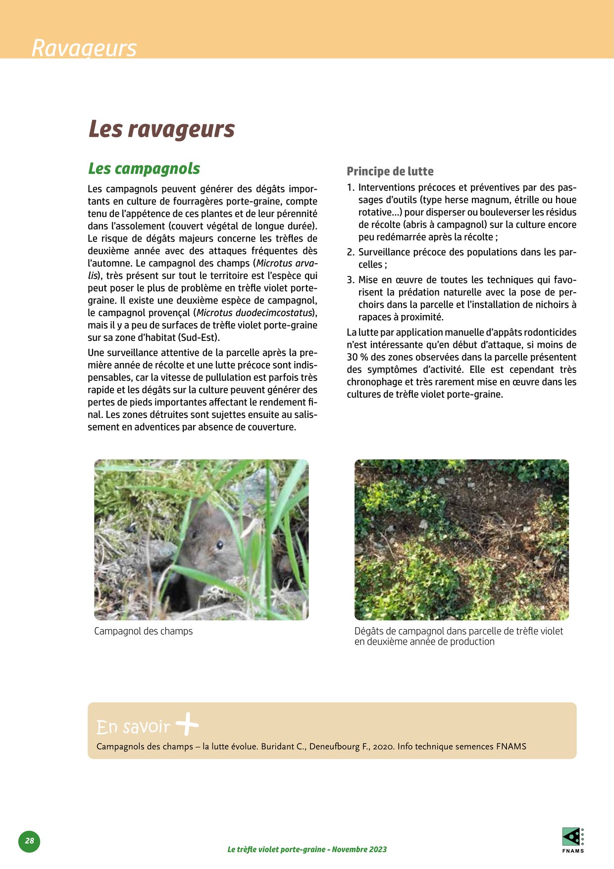 PDF page 28