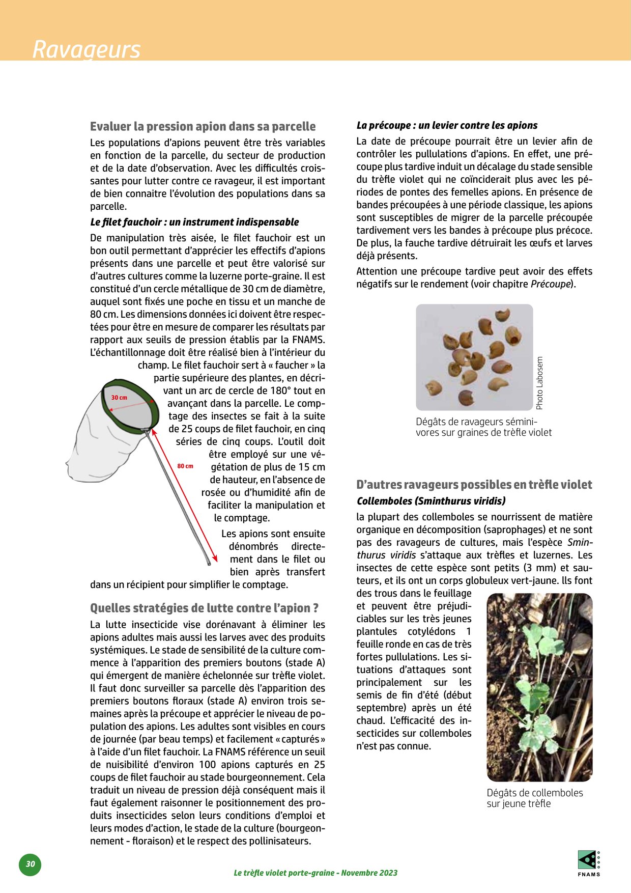 PDF page 30