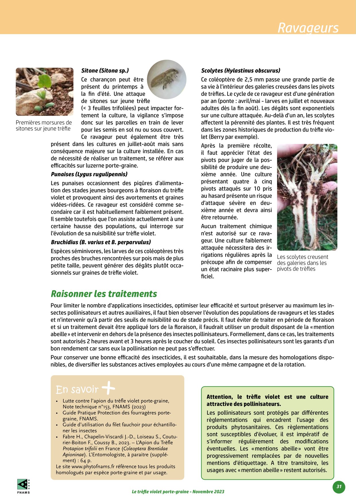 PDF page 31
