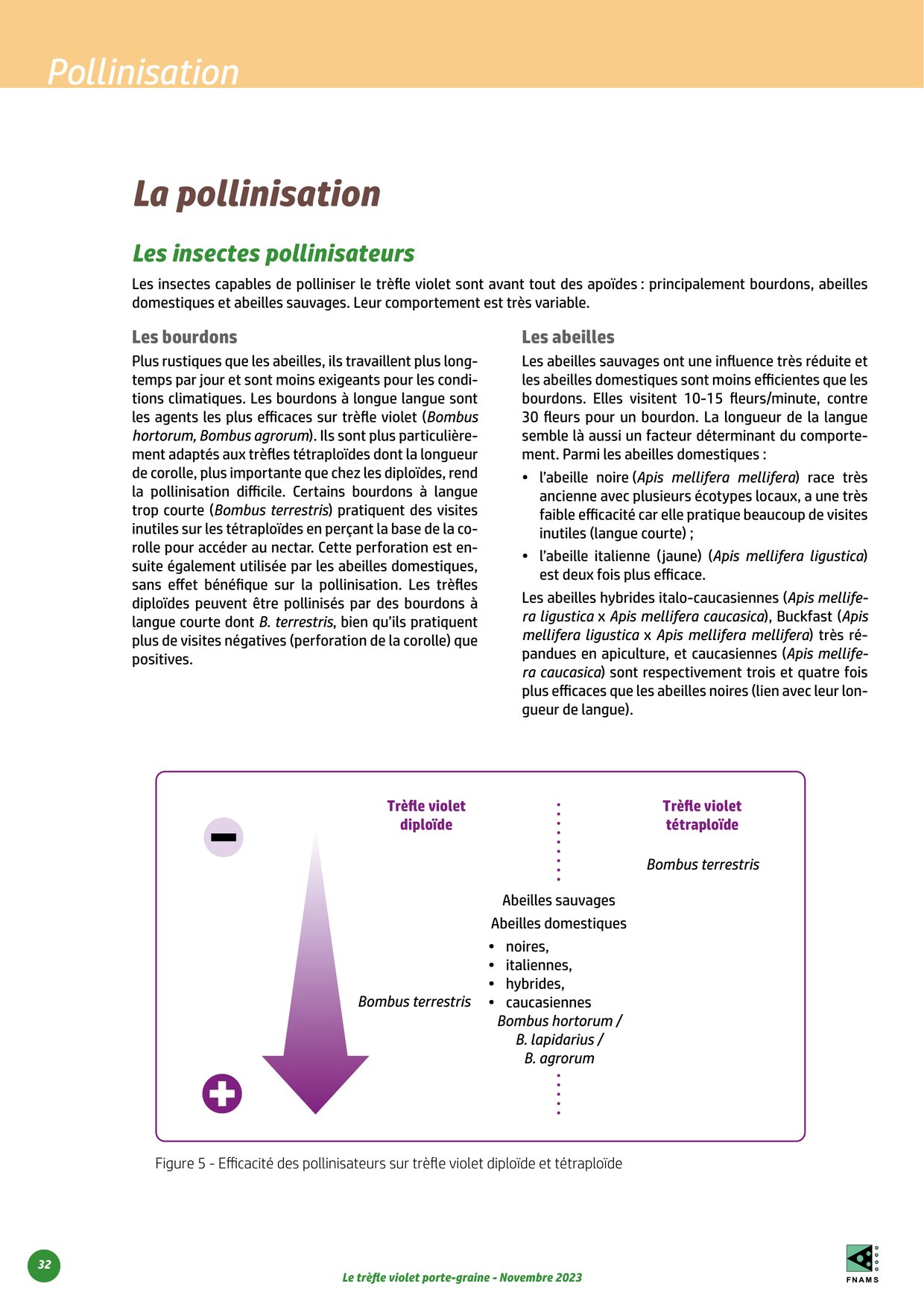 PDF page 32