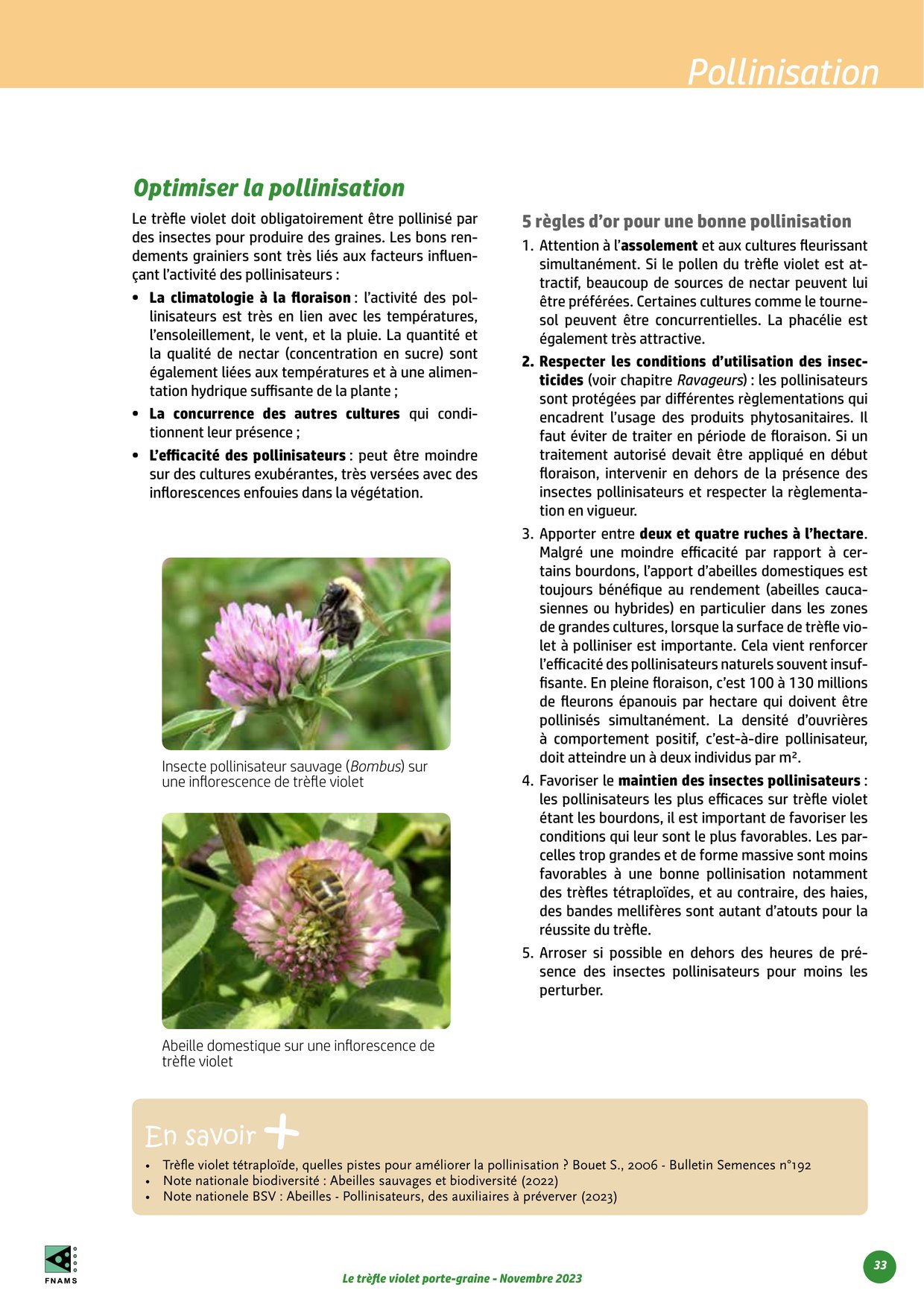 PDF page 33