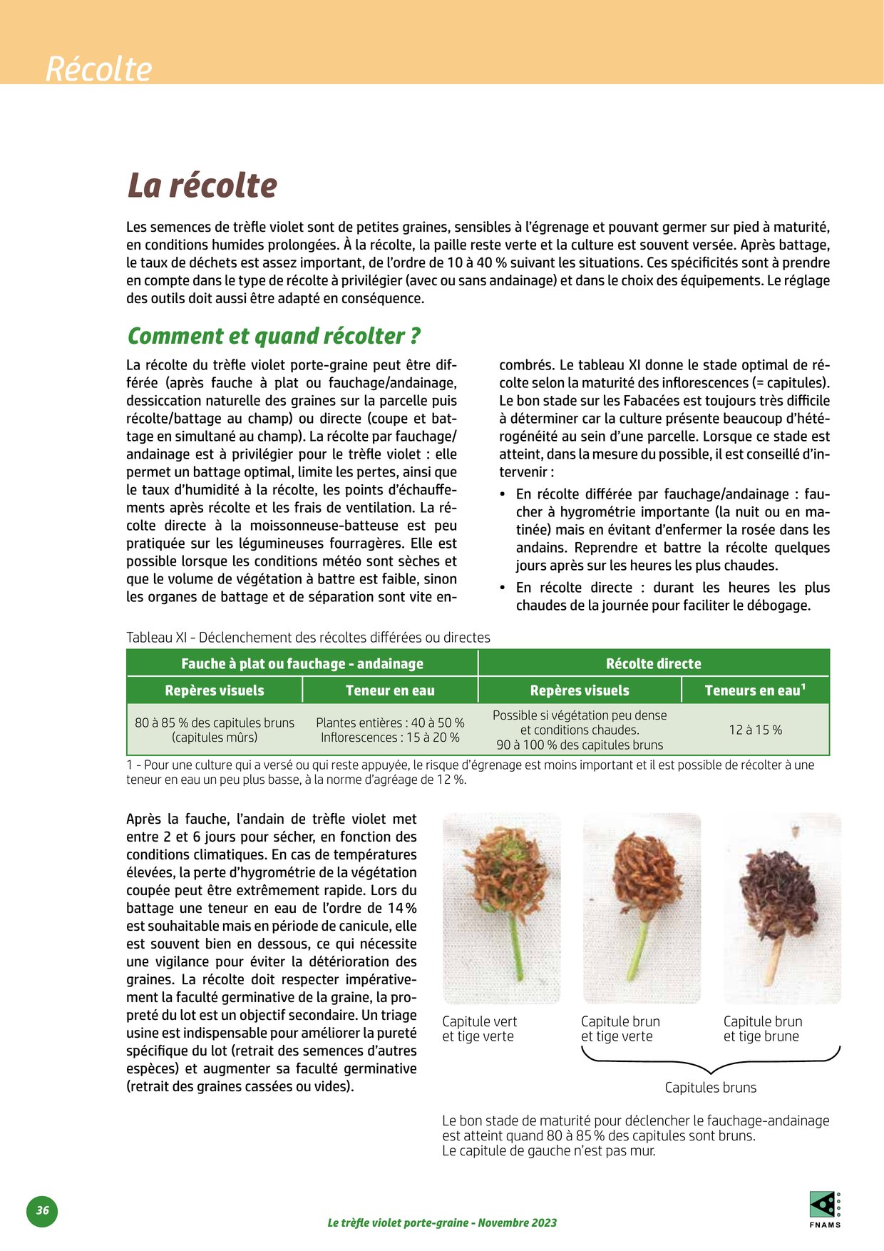 PDF page 36