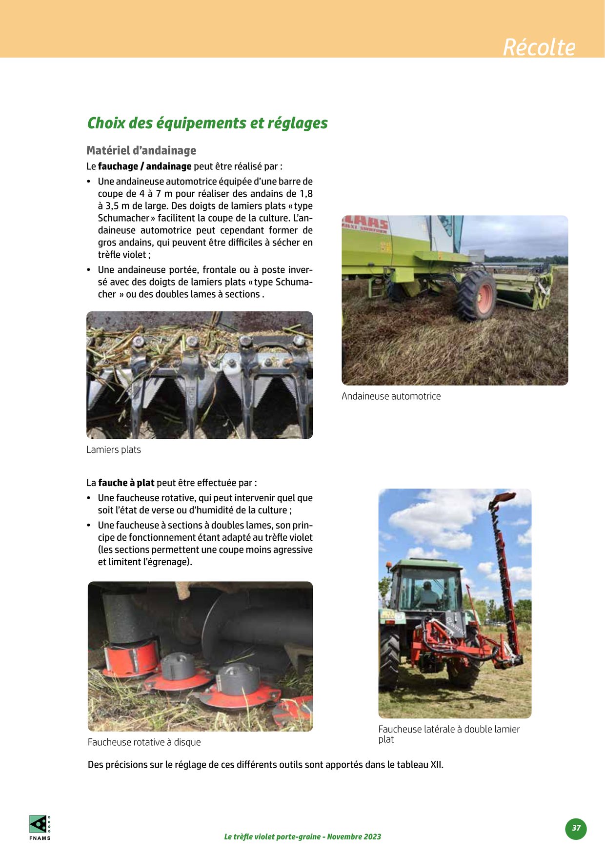 PDF page 37