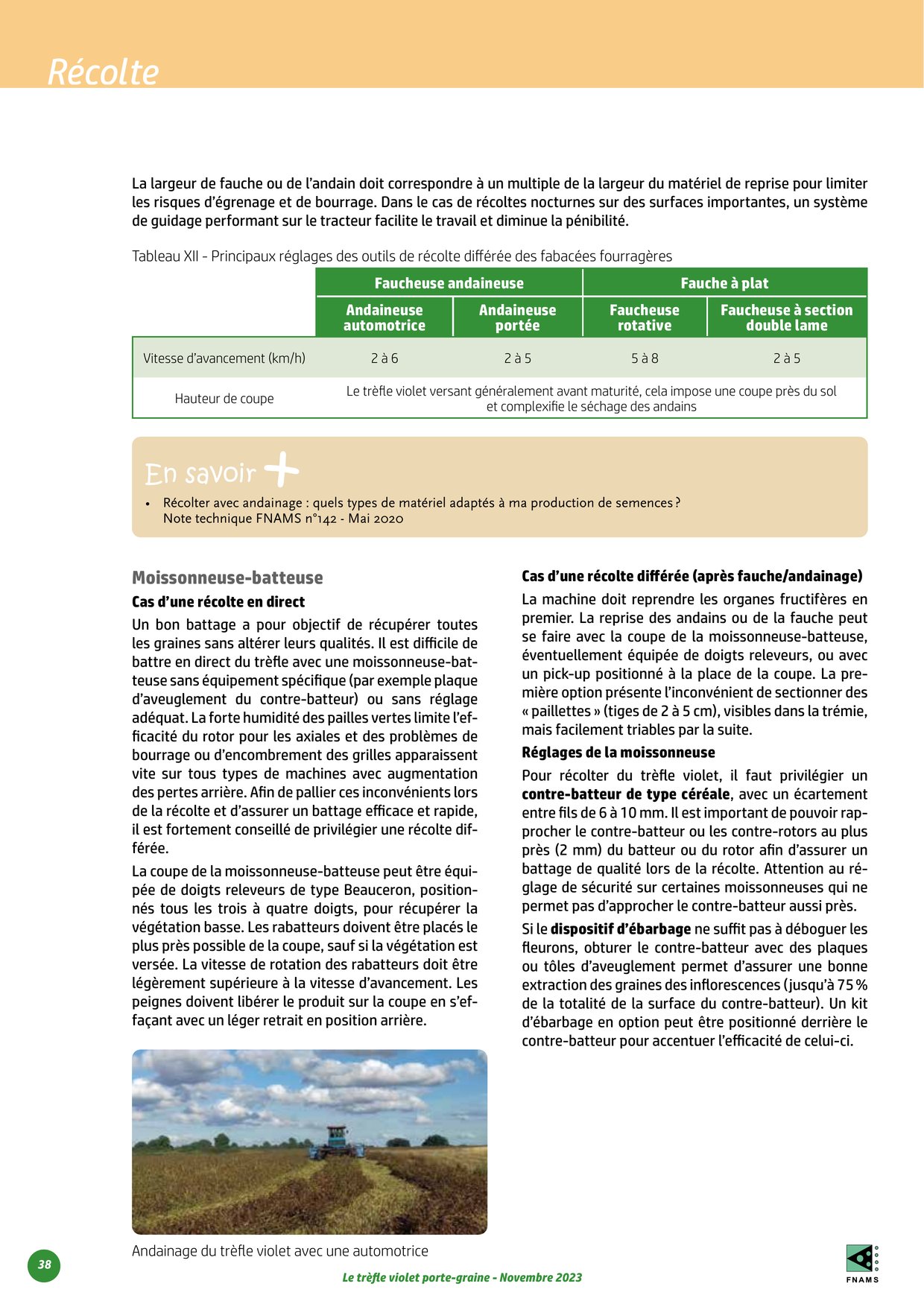 PDF page 38