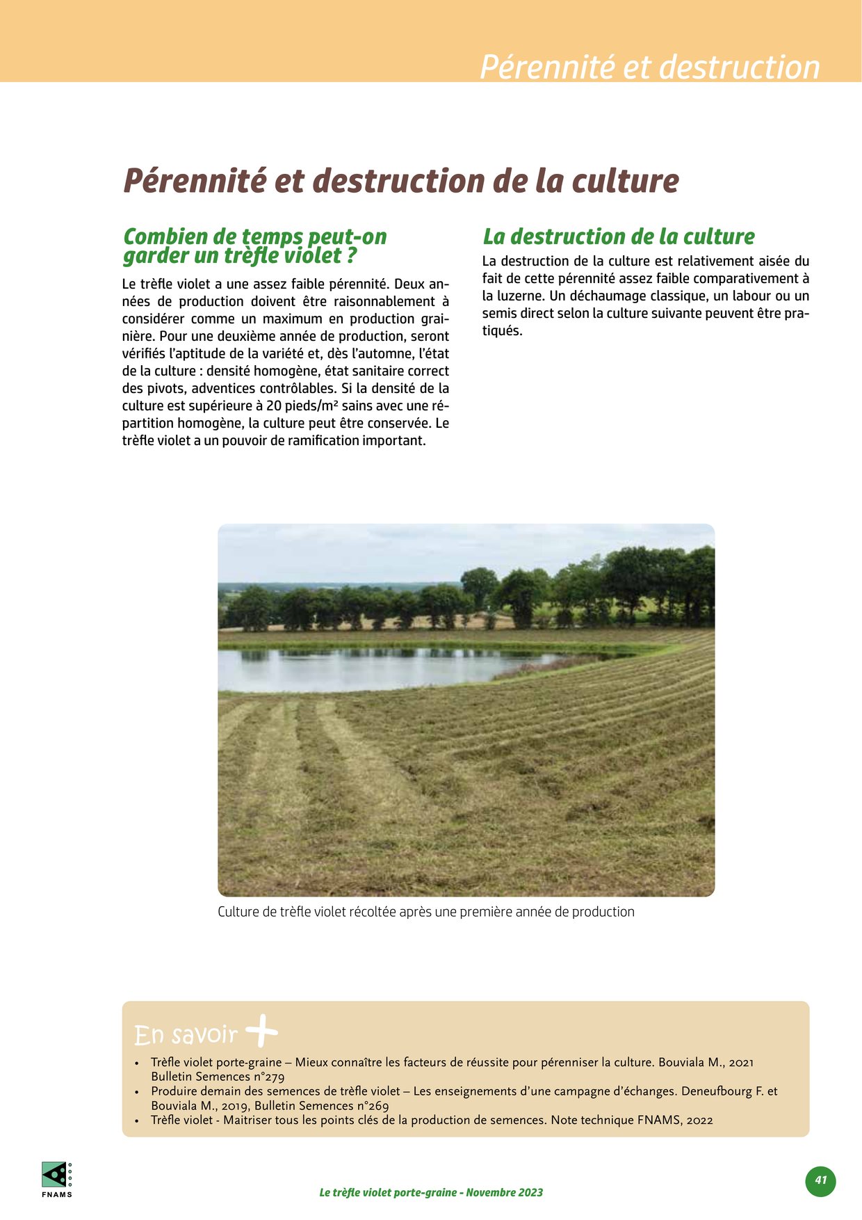 PDF page 41
