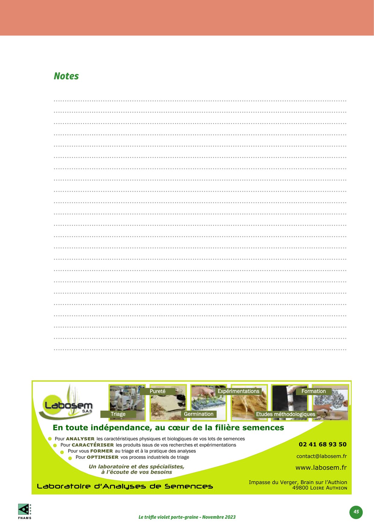 PDF page 45