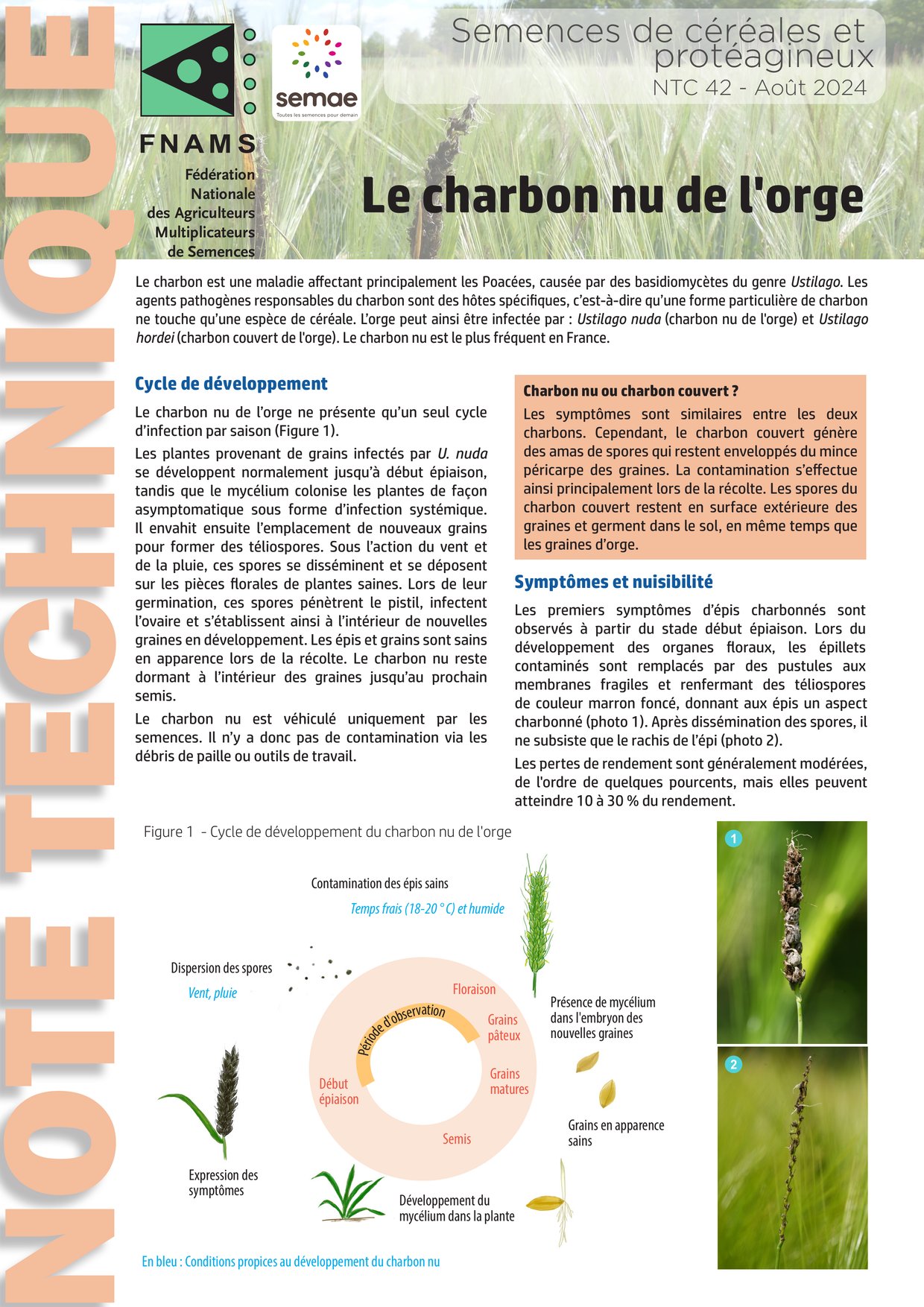 PDF page 1