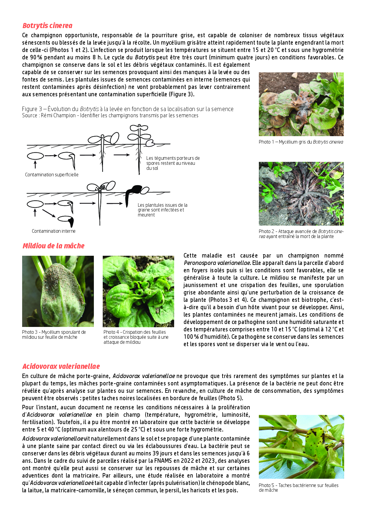 PDF page 2