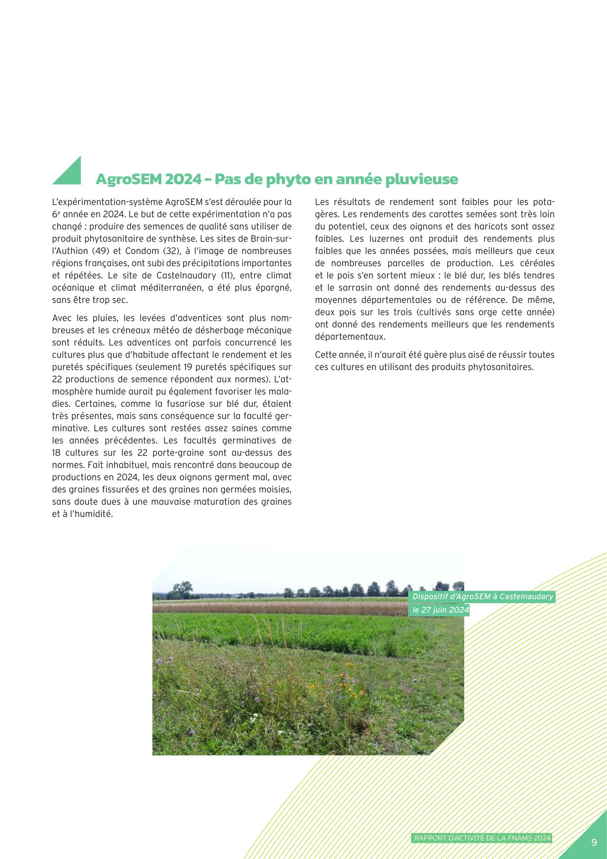 PDF page 11