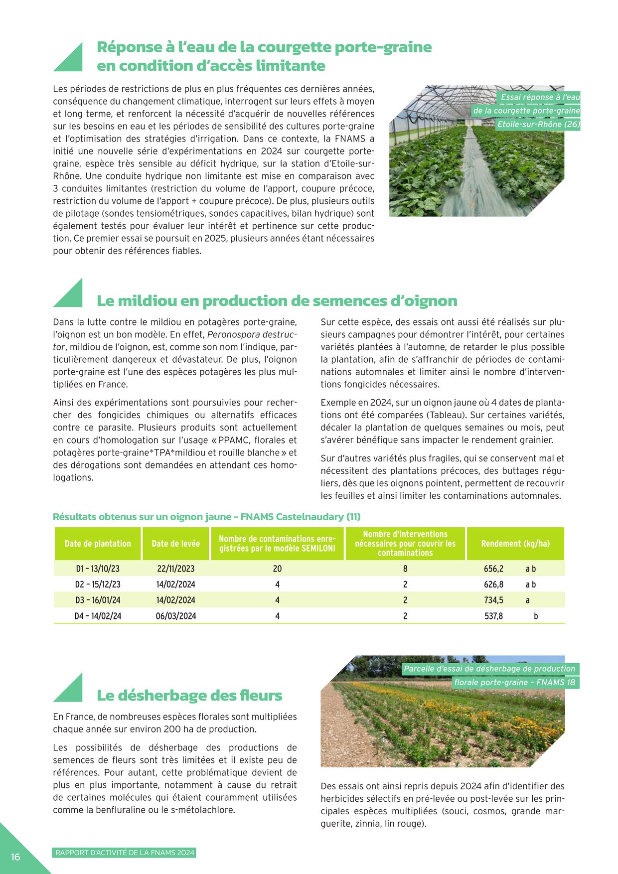 PDF page 18