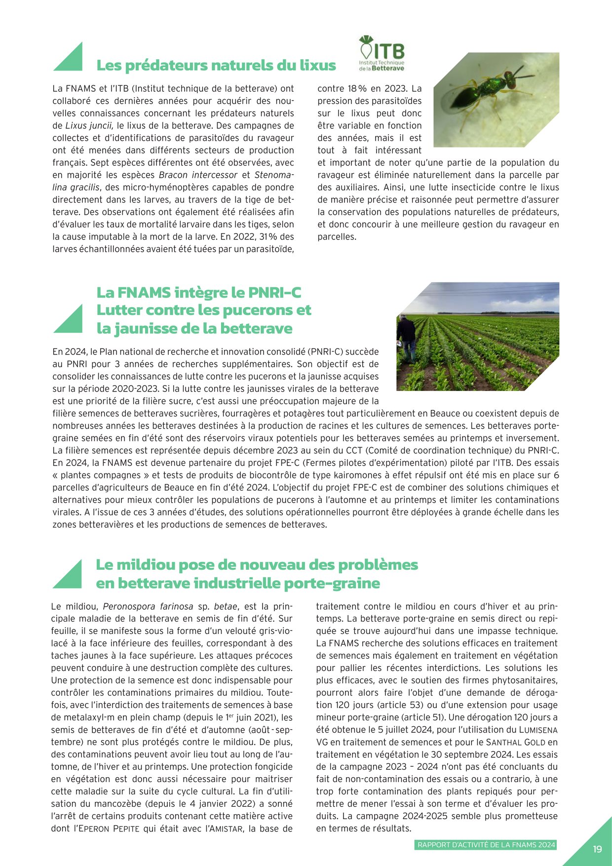 PDF page 21